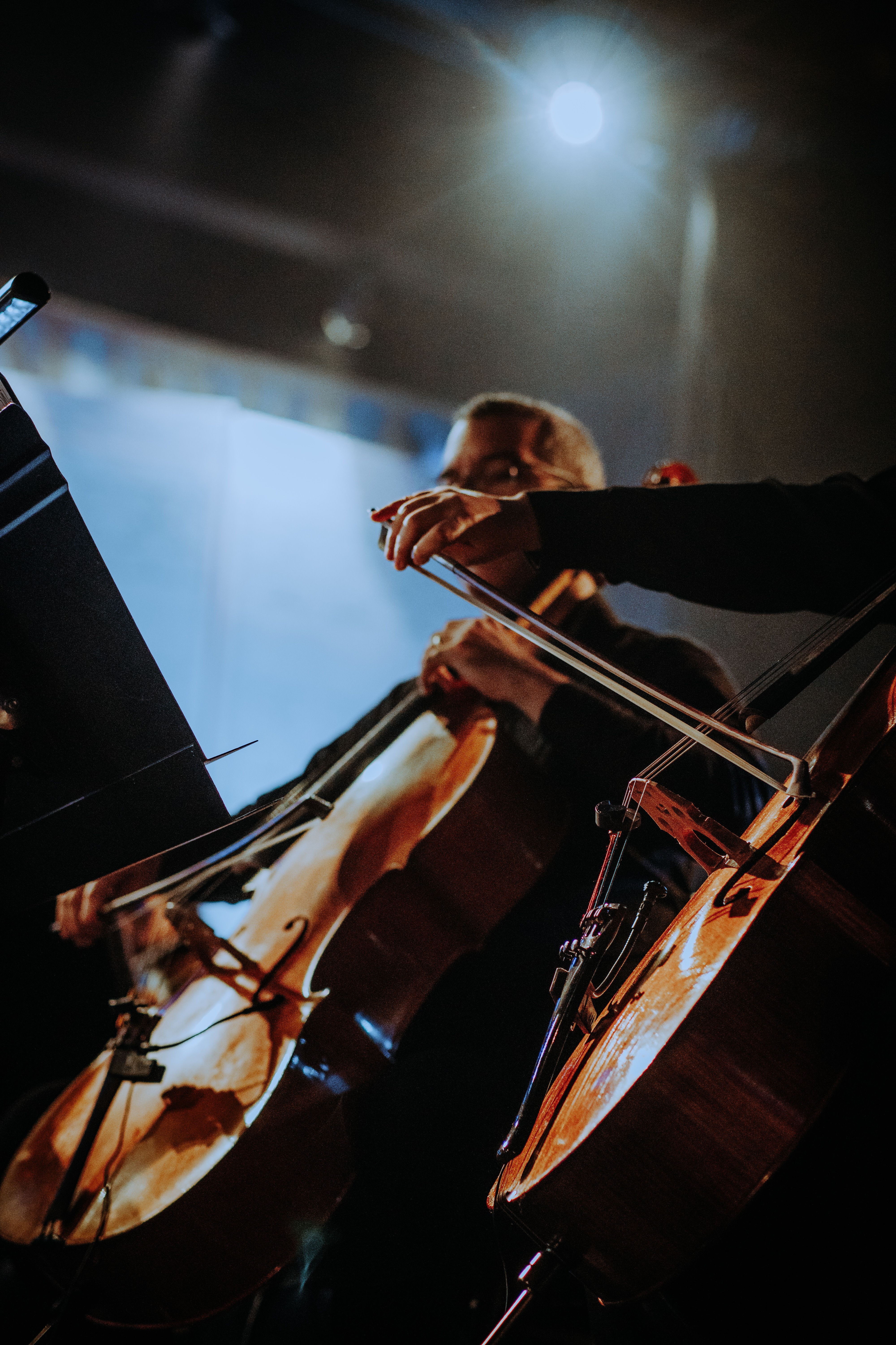 Die 12 Cellisten der Berliner Philharmoniker