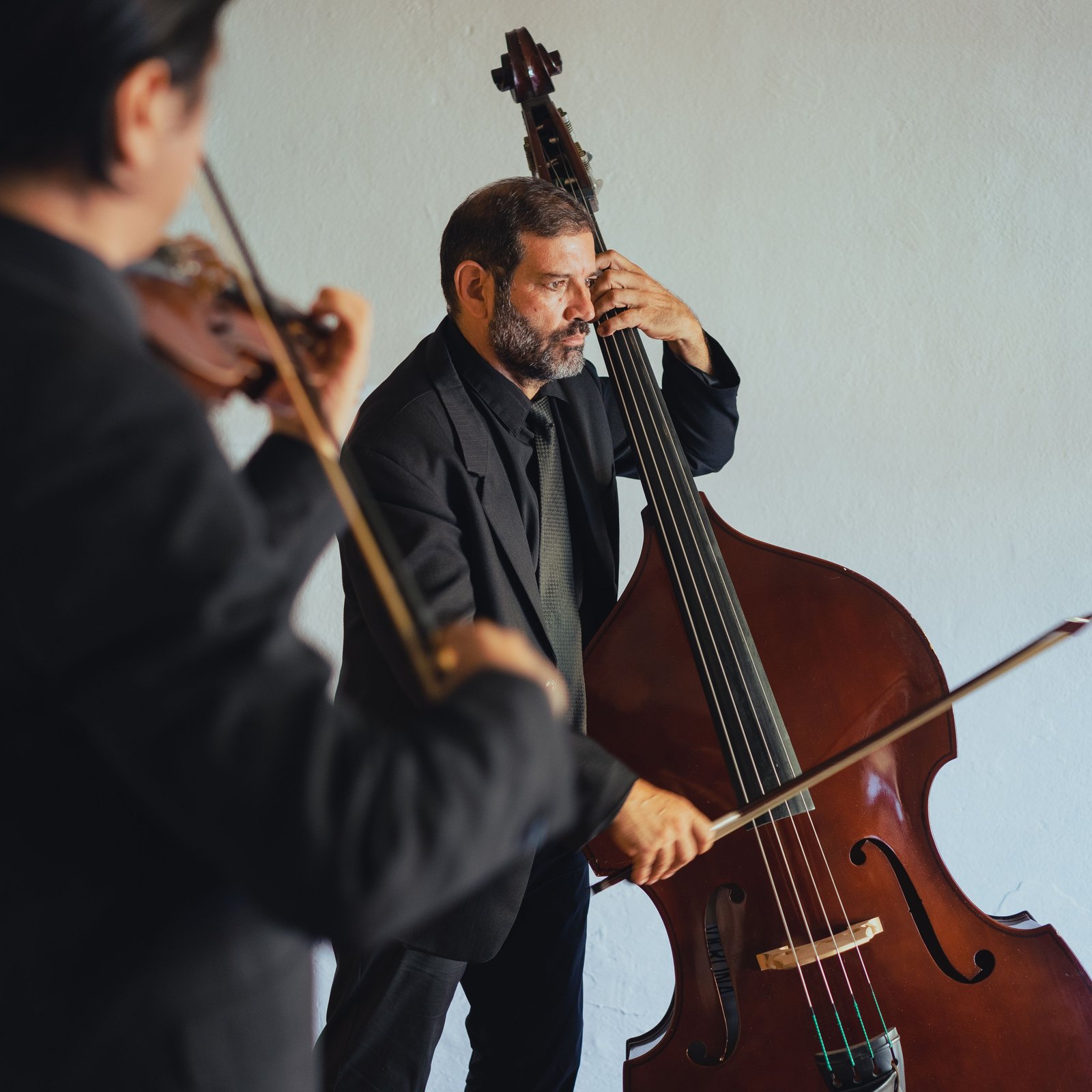 Petar Pejčić, Violoncello