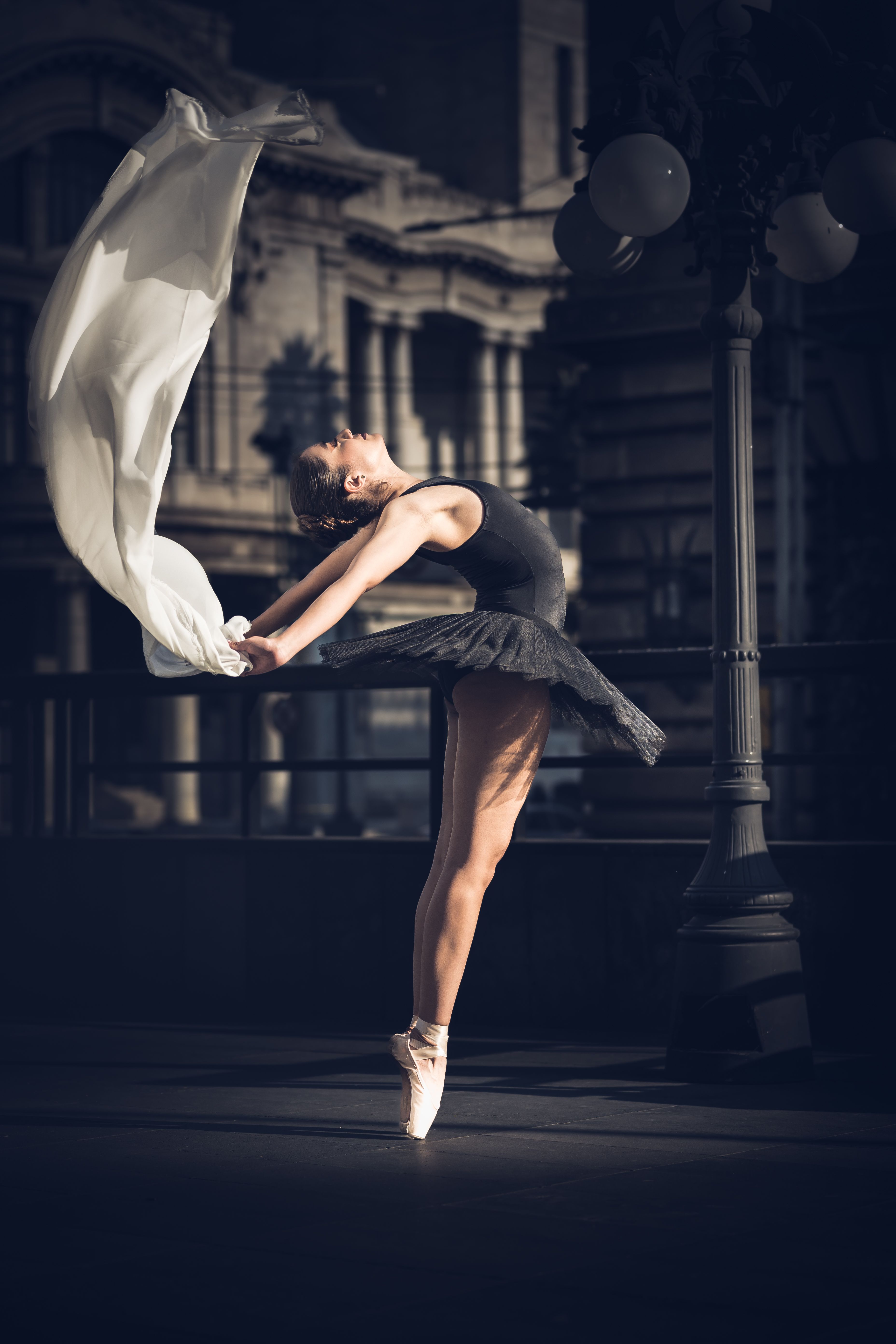 Swan Lake